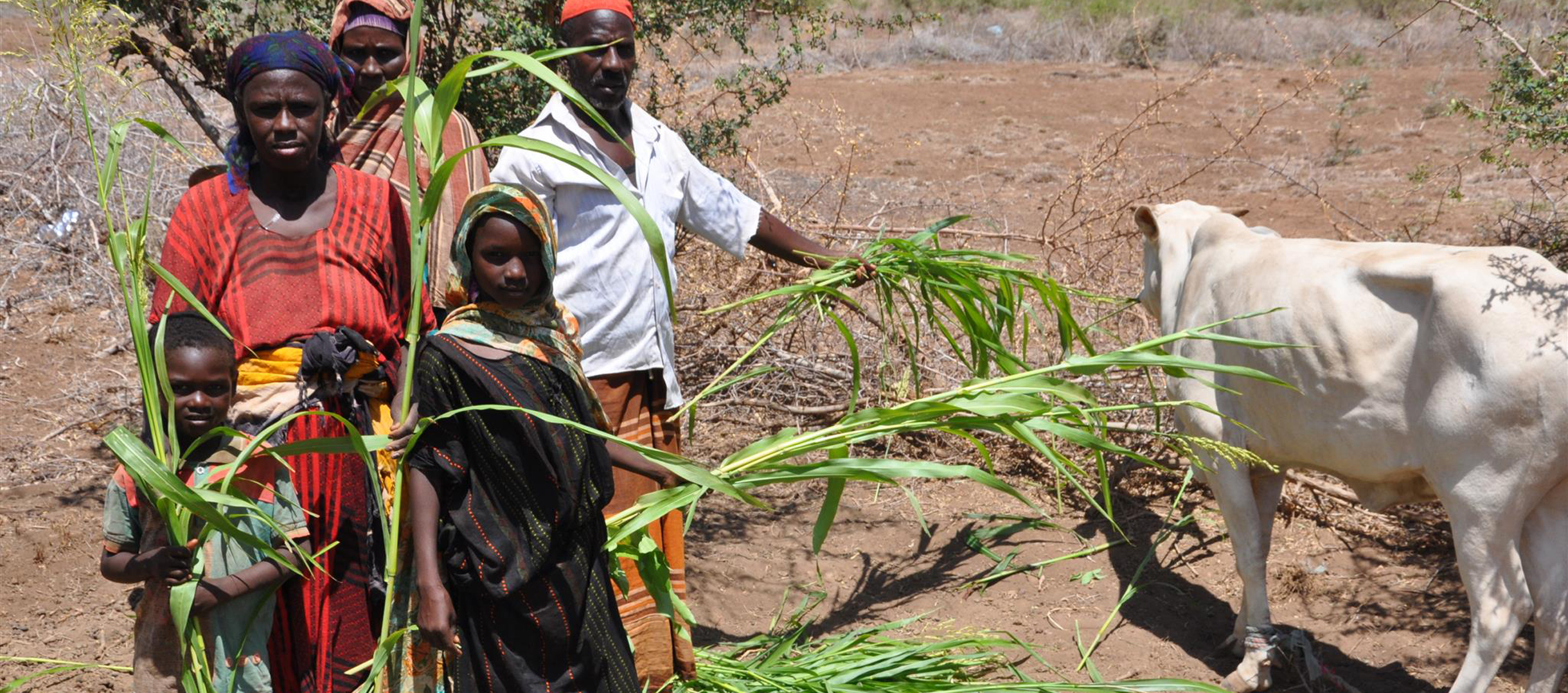 World Vision Äthiopien: von Dürre betroffene Familie