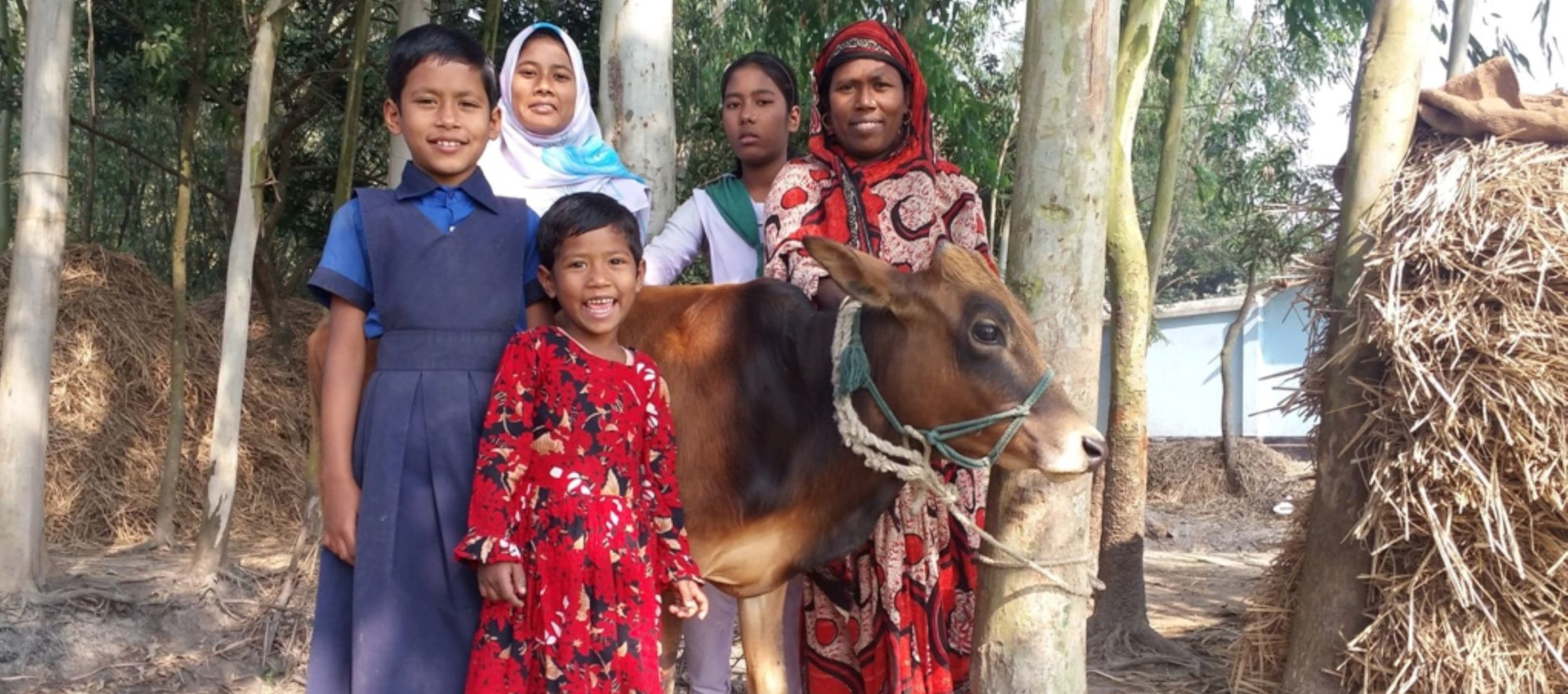 Habibas Familie mit der neuen Kuh
