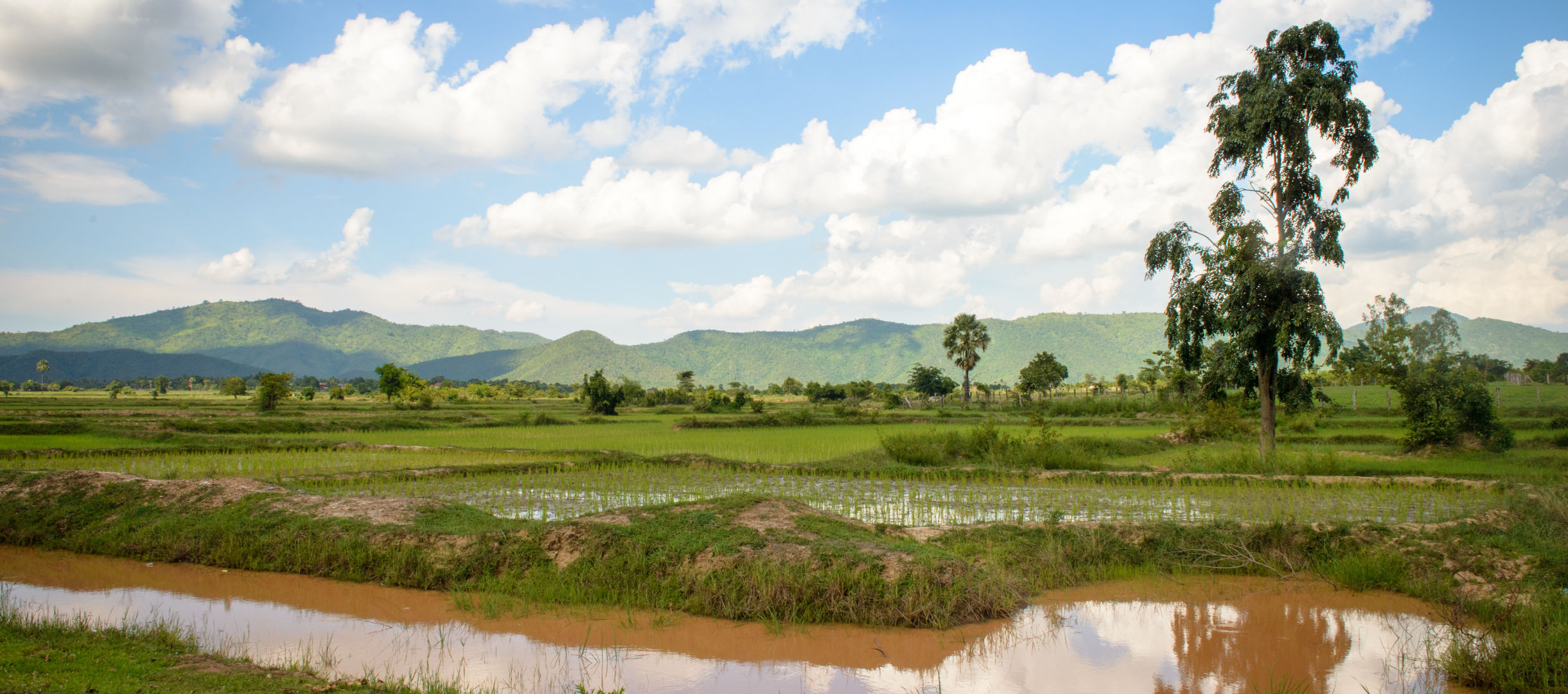 Landschaft in Kambodscha