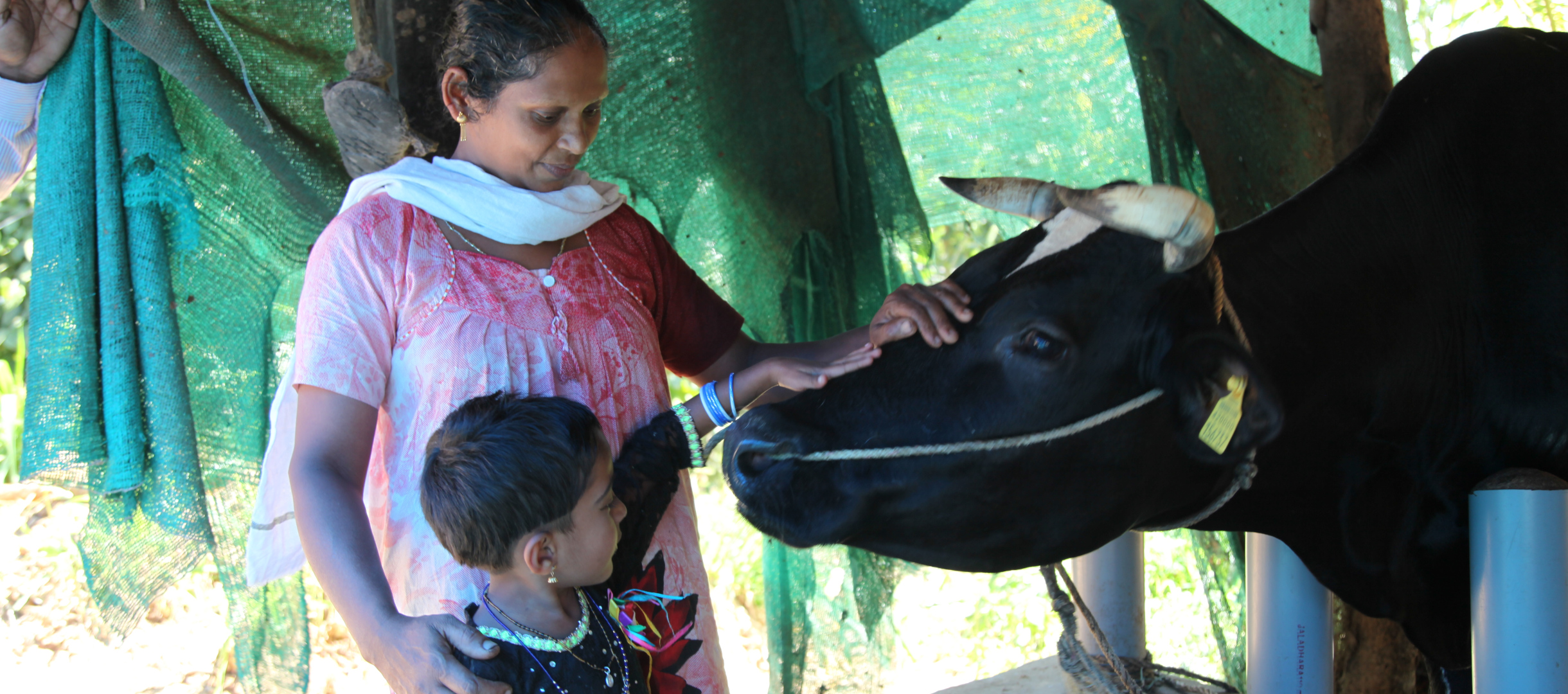 Mutter und Tochter in Indien streicheln eine Kuh