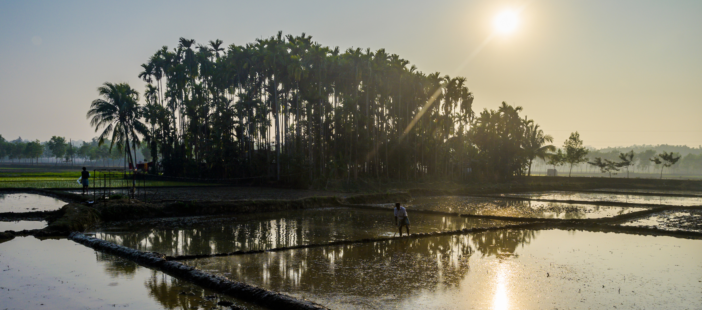 Landschaft mit Wasser in Bangladesch