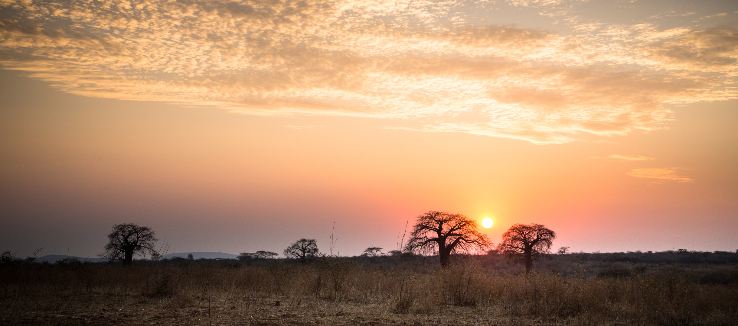 Landschaft in Tansania im Licht der untergehenden Sonne