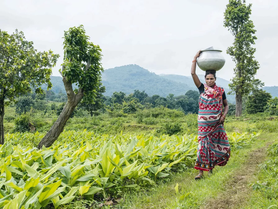 Projektpatenschaft in Bundi