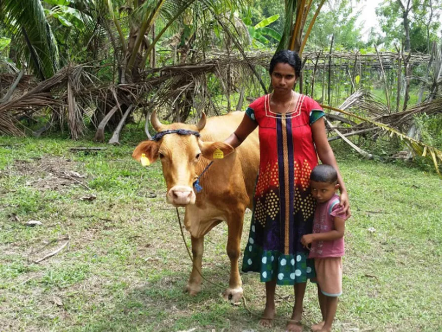 Das Gute Geschenk Sri Lanka