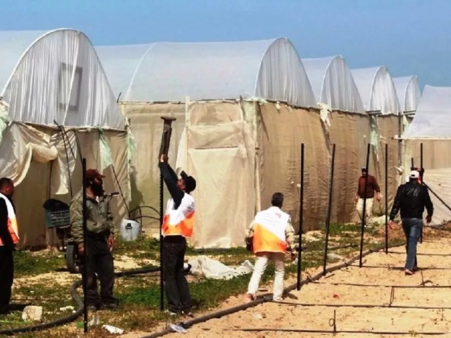 Kleinbauern bei der Arbeit in Gaza