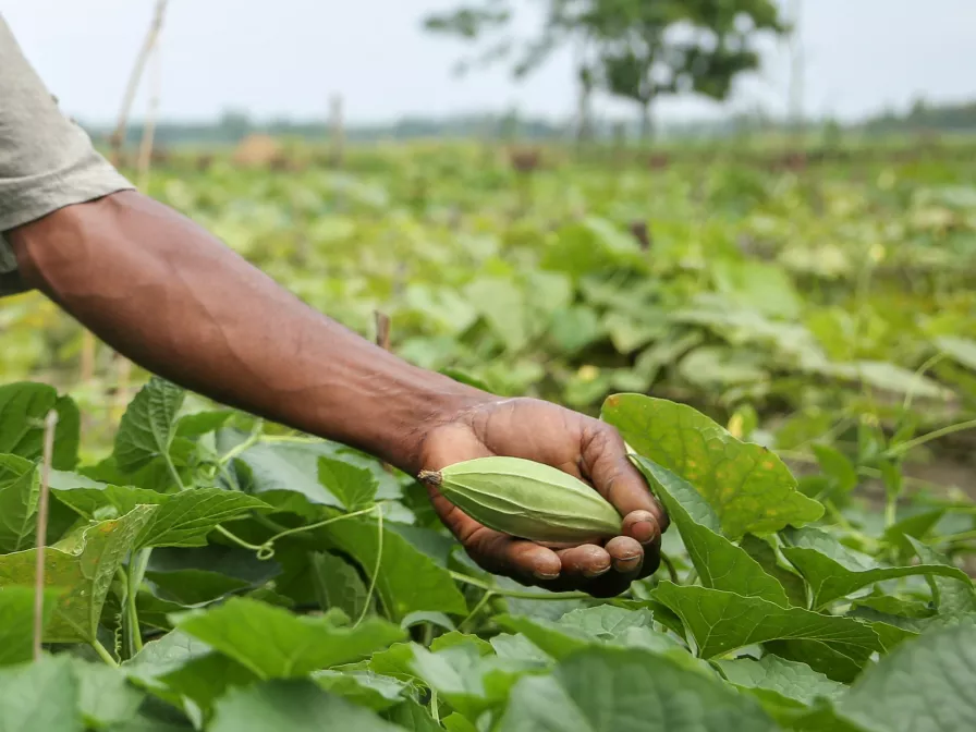 World Vision: Umweltschutz ist Kinderschutz