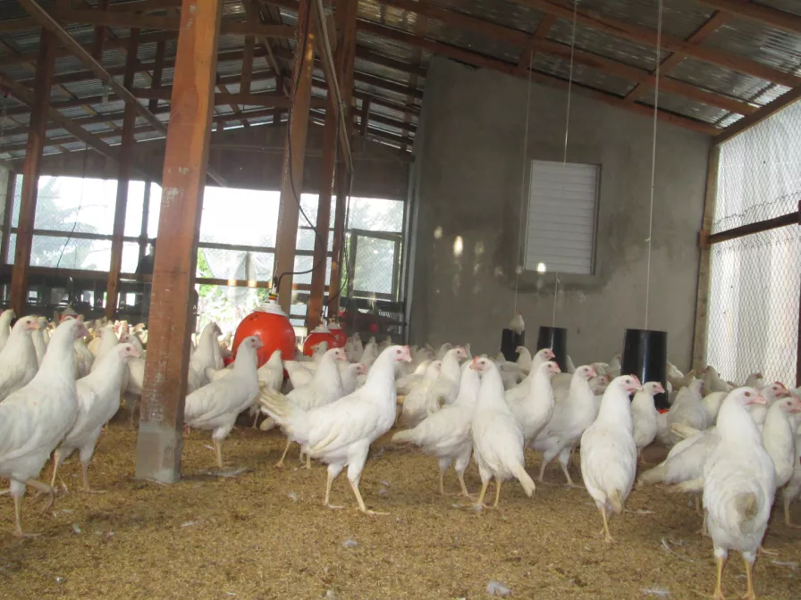 Gesundheitsprojekt Dajabon