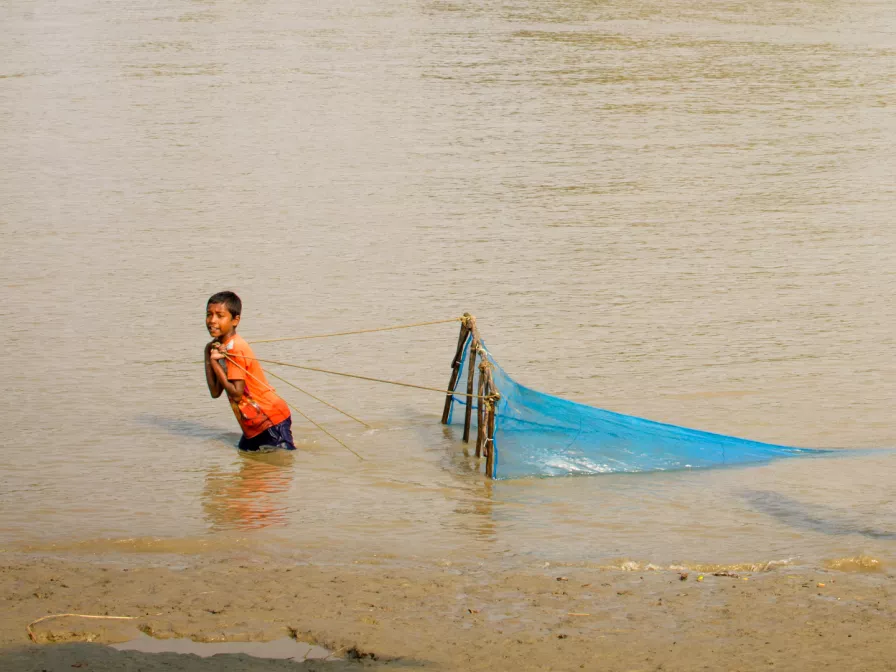 Junge beim Shrimps fischen