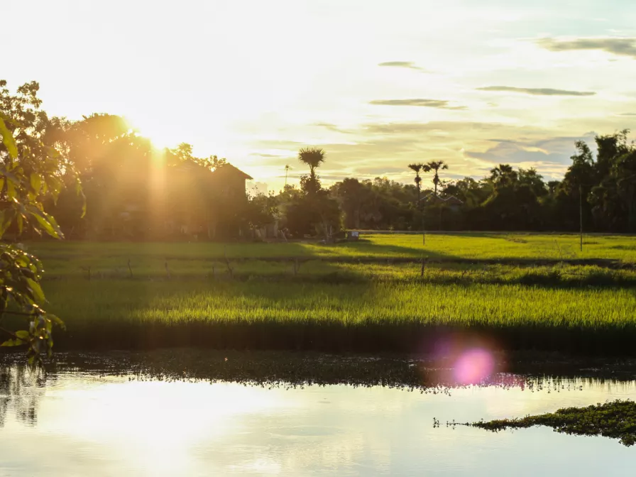 Landschaft in Kambodscha