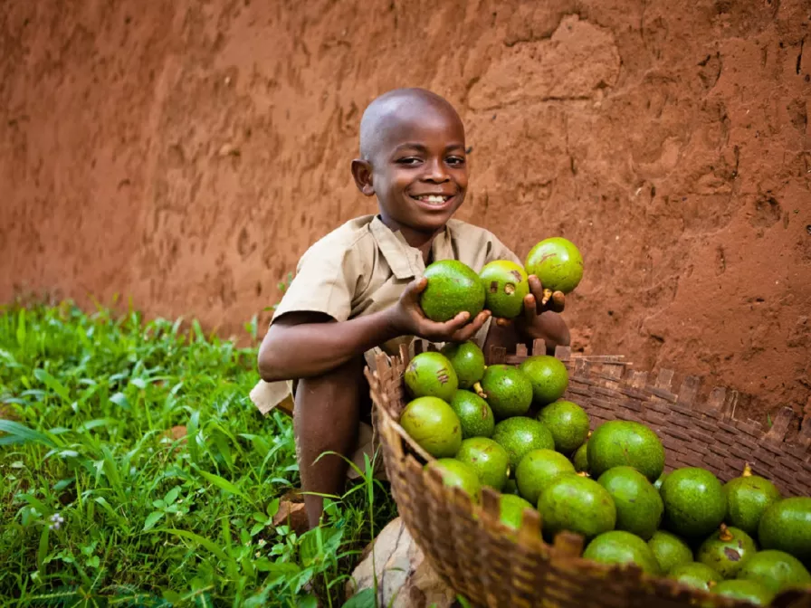 Patenkind Ezechiel präsentiert stolz die Avocadoernte seiner Familie