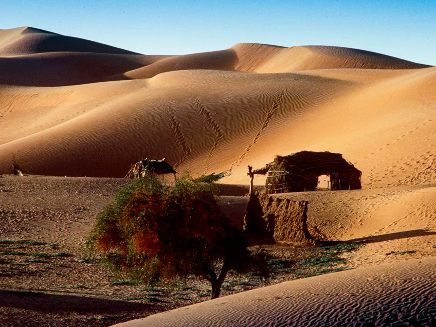 Wüstenlandschaft in Mauretanien