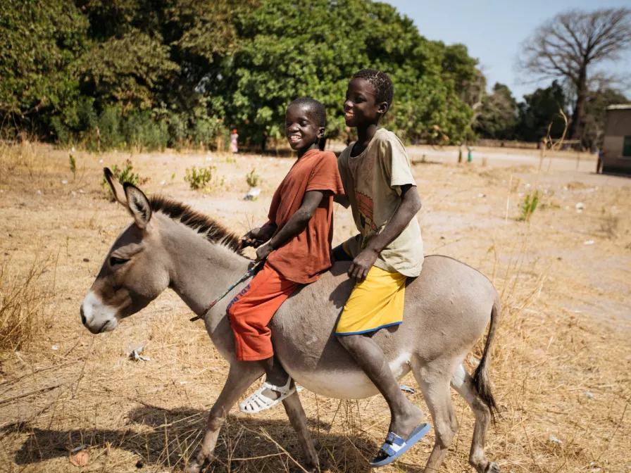 Kinder auf einem Esel im Senegal