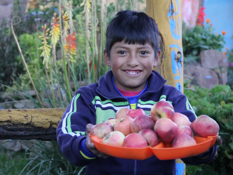 Junge aus Peru mit frischen Äpfeln