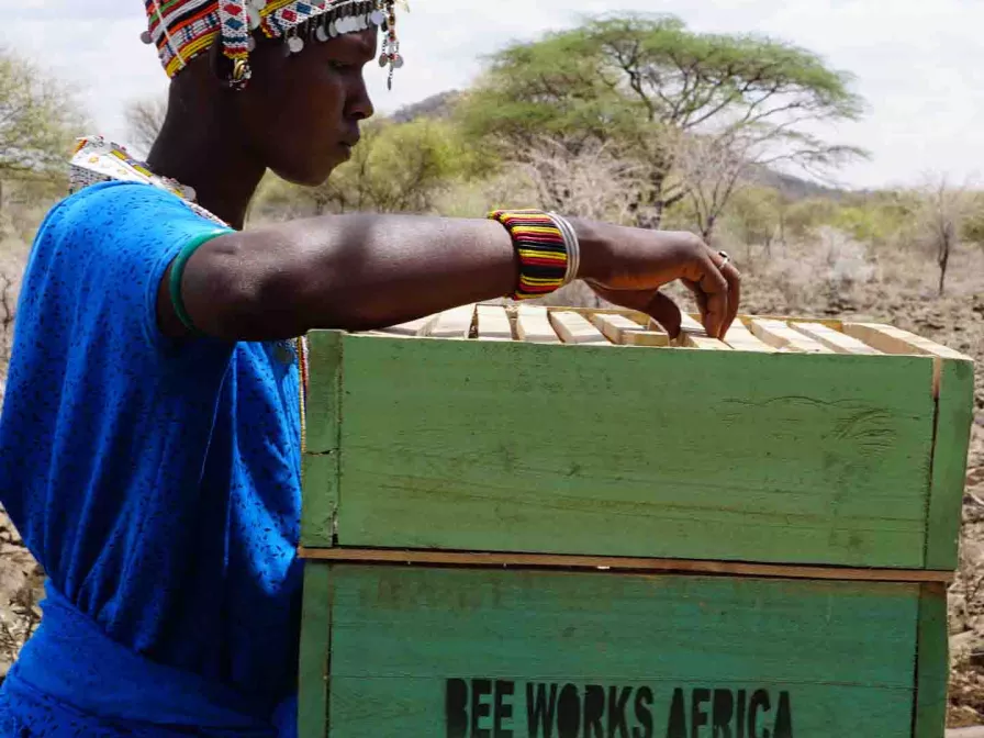 Frau mit Bienenstock