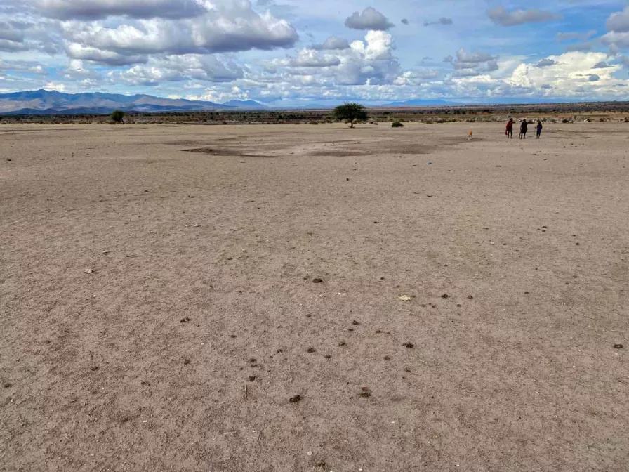 Tansania - Wiederbegrünung mittels FMNR-Methode