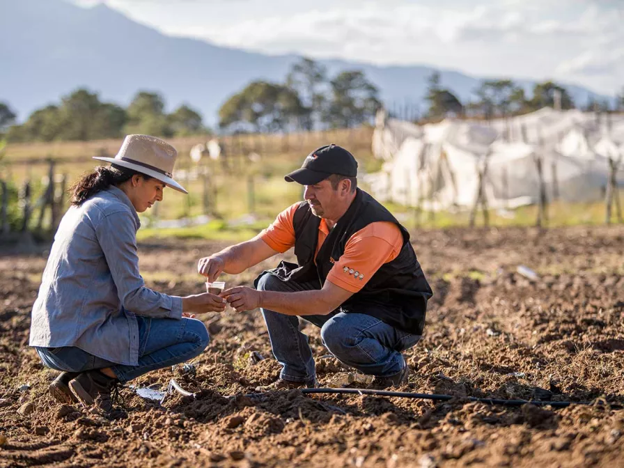 Entwicklungsarbeit in Honduras