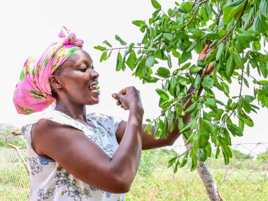 FMNR Äthopien Titelbild