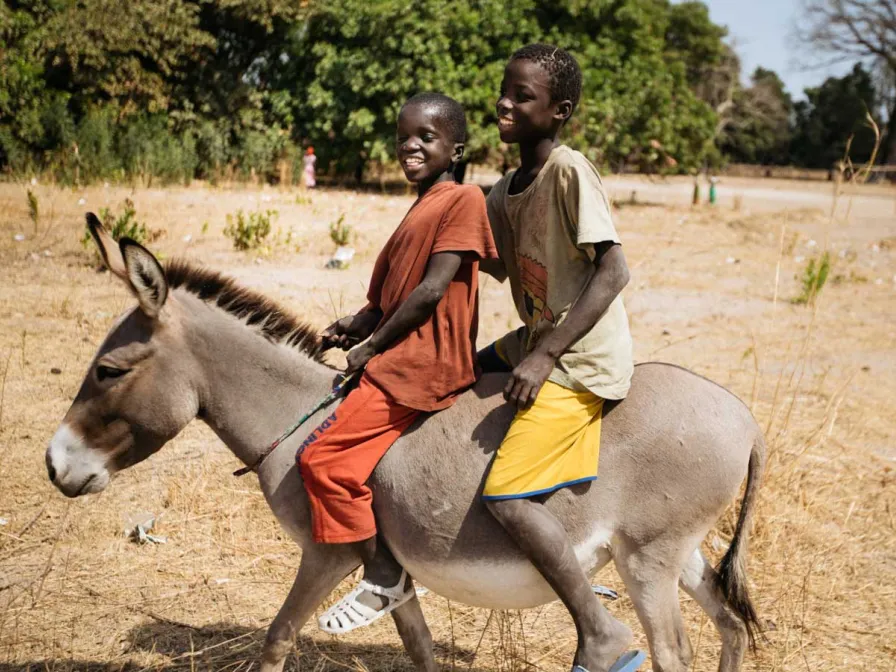 Entwicklungshilfe Senegal