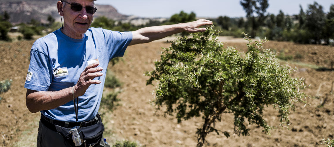 Tony Rinaudo in Äthiopien Wiederaufforstungsmethode FMNR