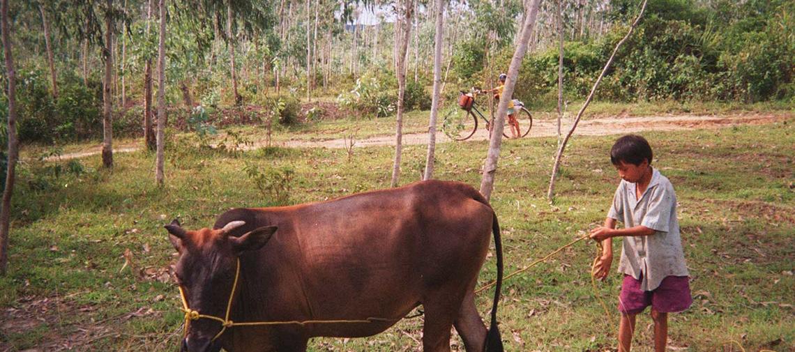 Ihre Hilfe wirkt: Projektübergabe in Ho-Chi-Minh-Stadt, Vietnam