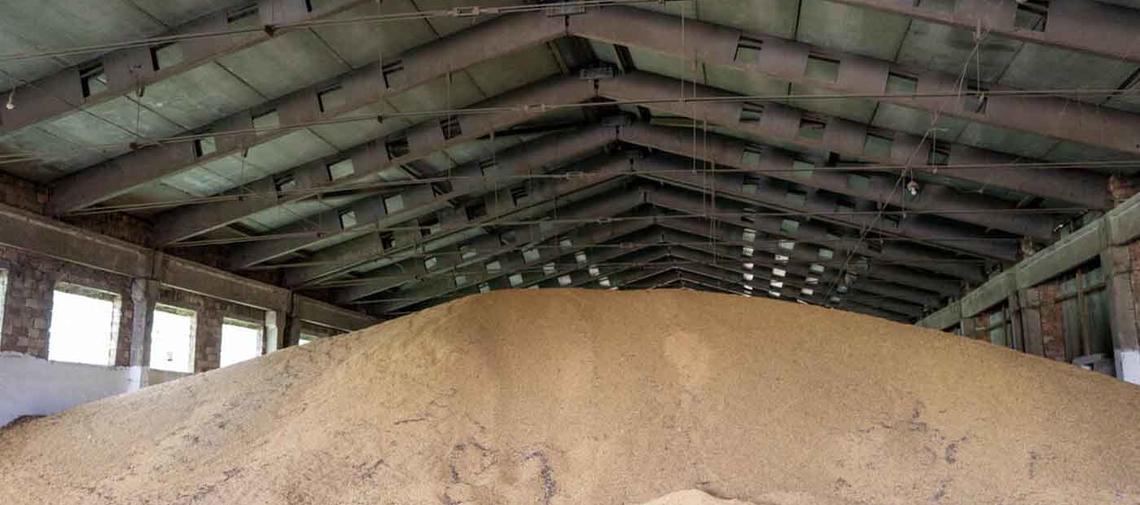 Weizen in der Ukraine, das nicht ausgeliefert werden kann