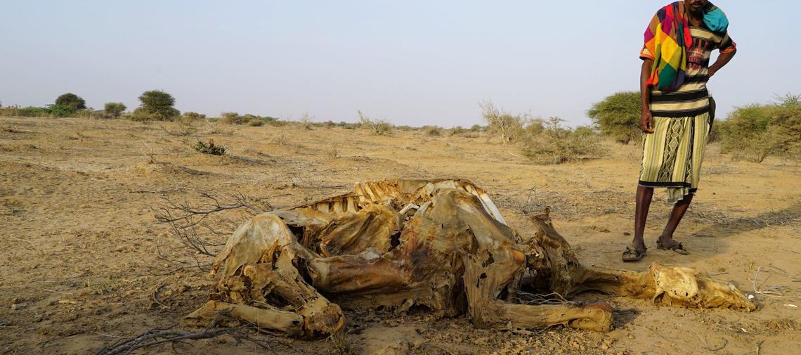Dürre in Somalia
