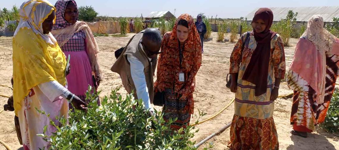 Frauenspargruppe in ihrem Gemüsegarten