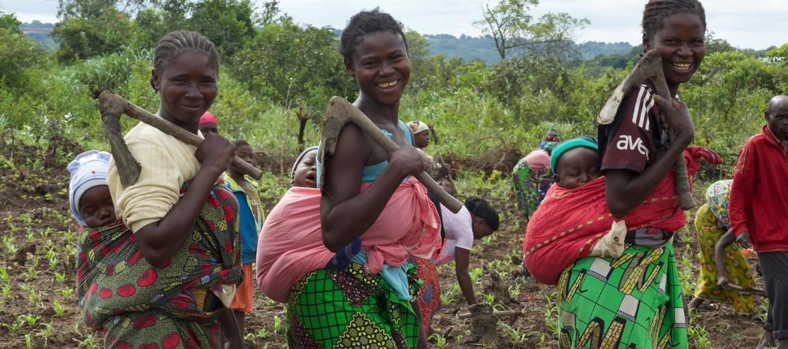 Frauen in der Zentralafrikanischen Republik bei der Feldbarbeit