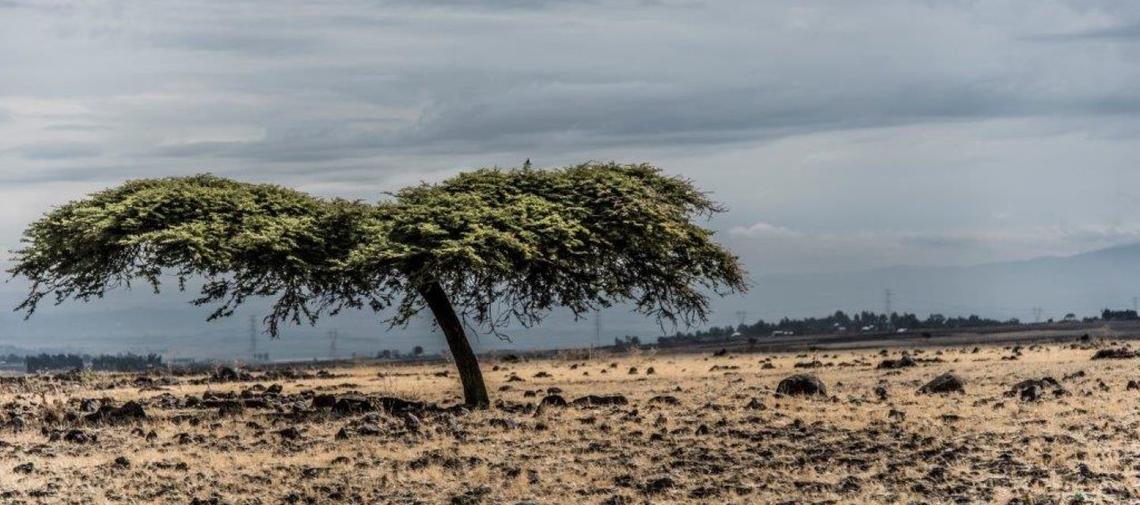 Äthiopien Dürre