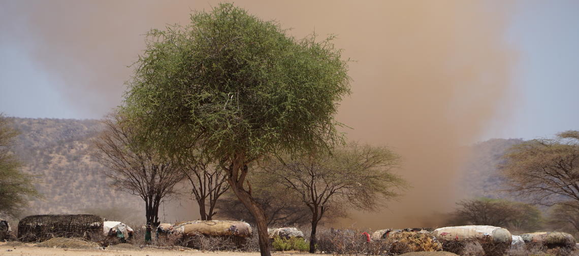 Dürre in Kenia 