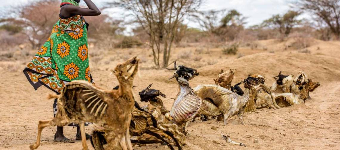 Dürre Ostafrika - Hungersnot