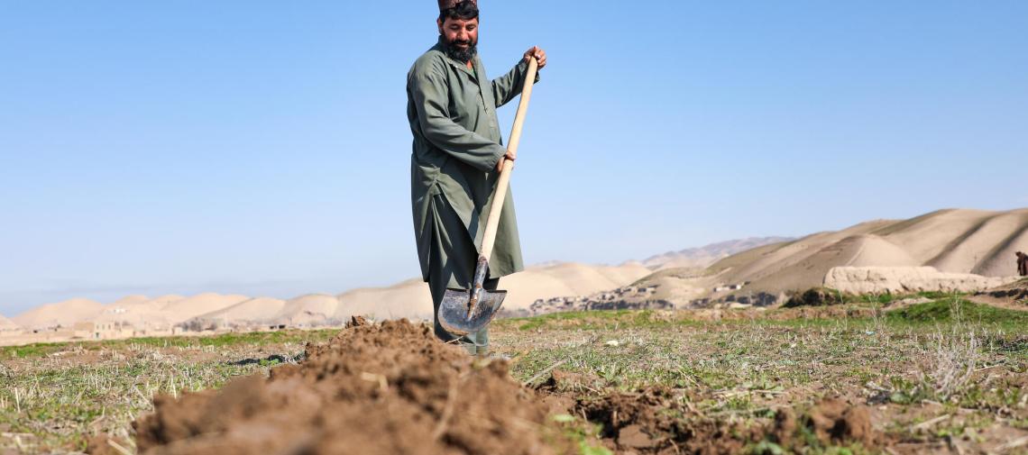Ein afghanischer Bauer gräbt seinen Acker mit der Schaufel um.