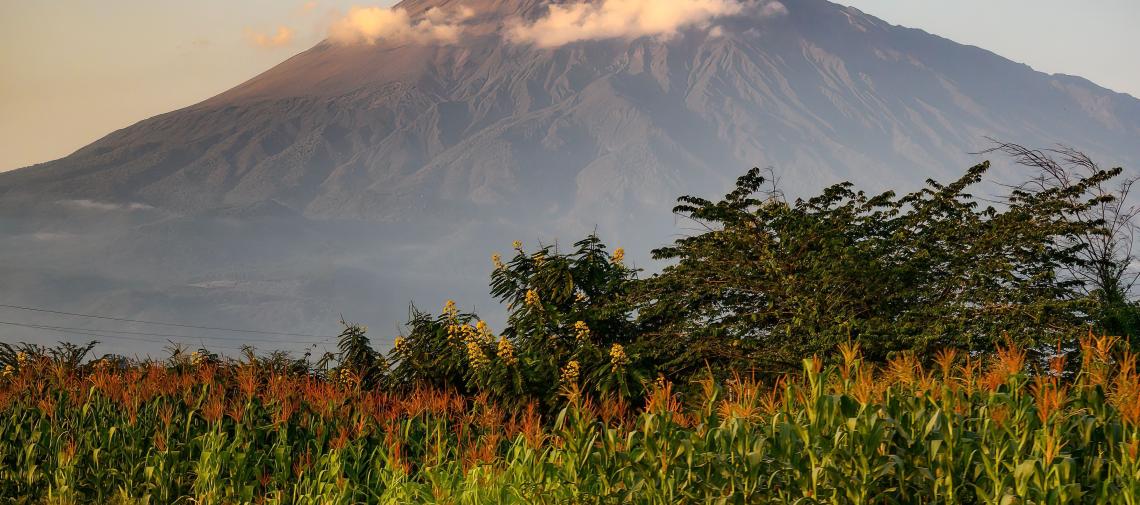 Klimawandel auf dem Kilimandscharo