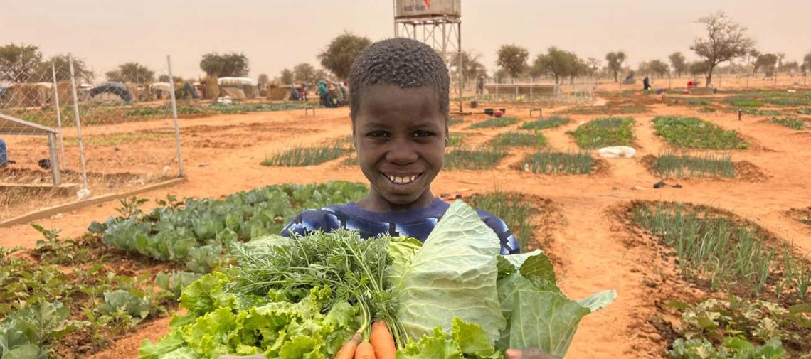 Öffentliche Geber und Bündnispartner
