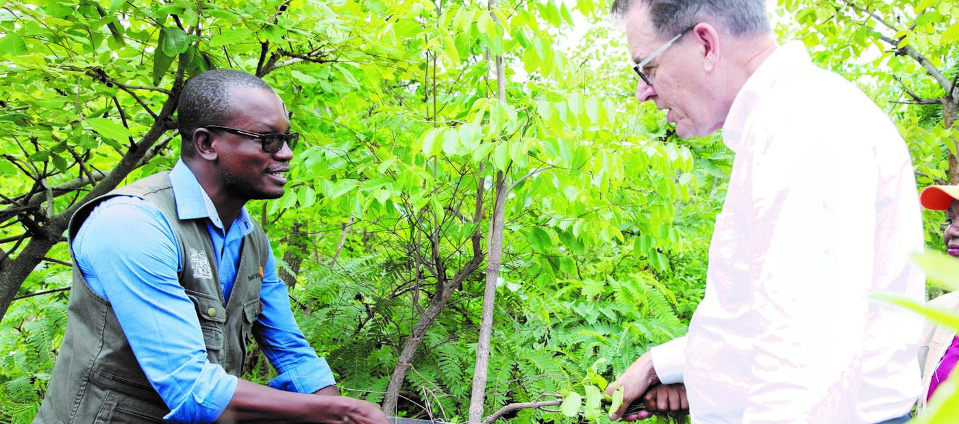 Entwicklungsminister Gerd Müller erfährt in Malawi viel über die Wiederbegrünungsmethode FMNR