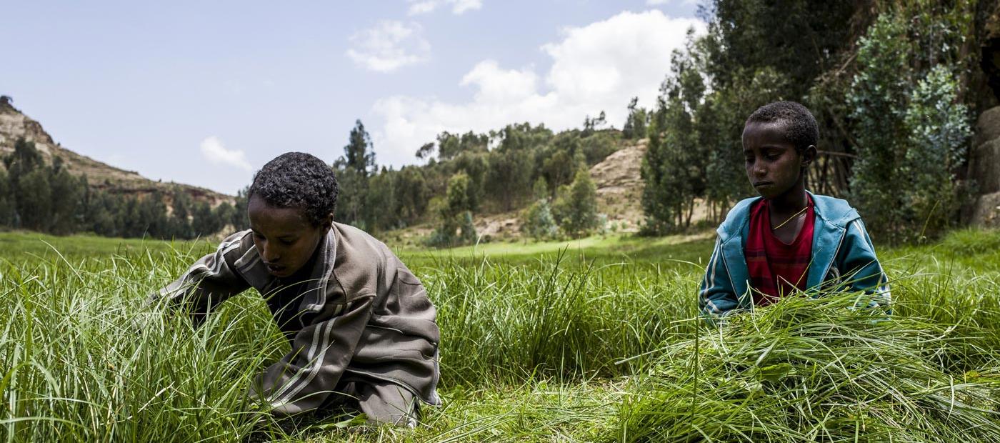 Intakte Umwelt nimmt Migrationsdruck