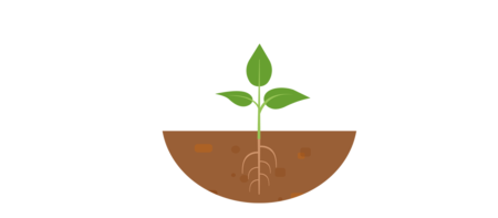 FMNR Methode Phase 1