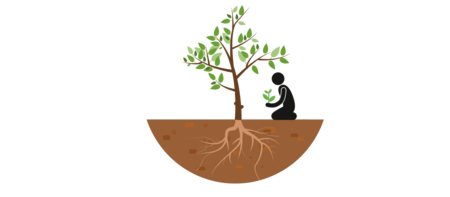 FMNR Methode Phase 3
