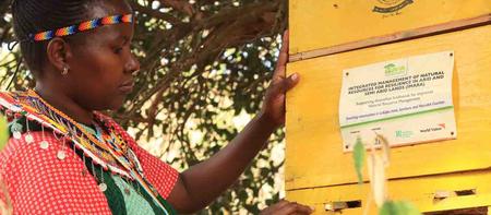 Frau aus Kenia mit Bienenstock