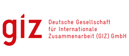 Logo GIZ