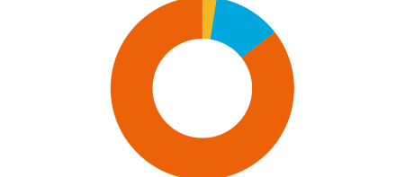 Grafik Mittelverwendung