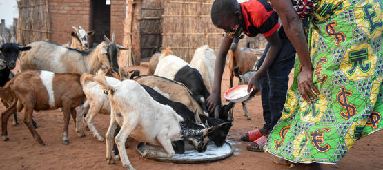 Patenkind Justine füttert die Ziegen.