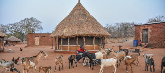 Patenkind Justine aus Sambia inmitten von Ziegen in seinem Heimatort