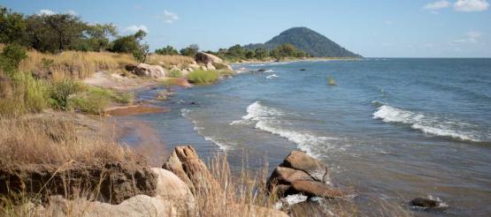 Ufer des Malawisees
