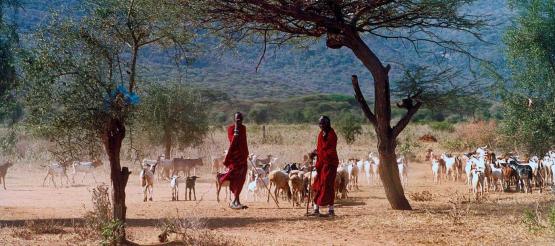 World Vision: Das Leben in Kenia, Lambwe Valley hat sich grundlegend verändert