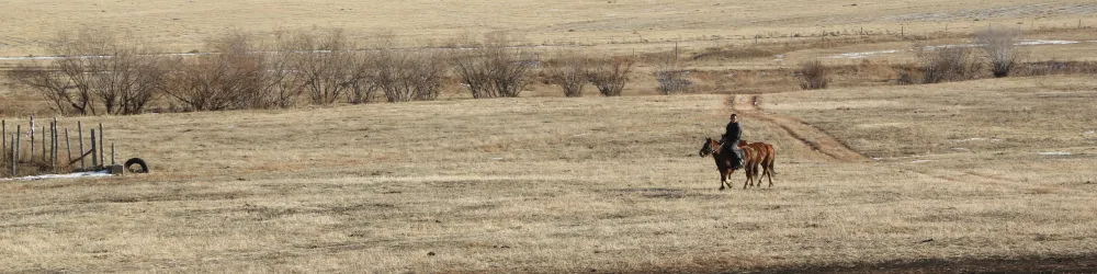 Steppe in der Mongolei
