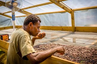 Kakaobauer Moli sortiert und trocknet die besten Bohnen