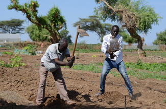 Flüchtling Mohammed (links) will auch in Kenia als Bauer seine Nahrung selbst herstellen und hat mit seinem ältesten Sohn Brachland in ein Feld verwandelt. Foto: Mark Nonkes / World VIsion