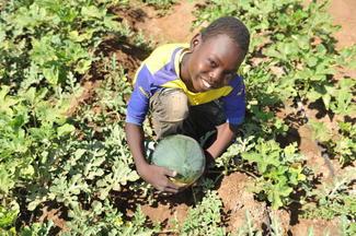 Kakuma: Der 15jährige Nejmadin hilft nach der Schule oft im Gemüsegarten, den sein Vater zusammen mit anderen Flüchtlingen angelegt hat. Foto: Zipporah Karani