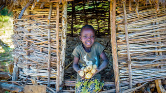Mais ermöglicht den Familien sich für Dürreperioden zu schützen